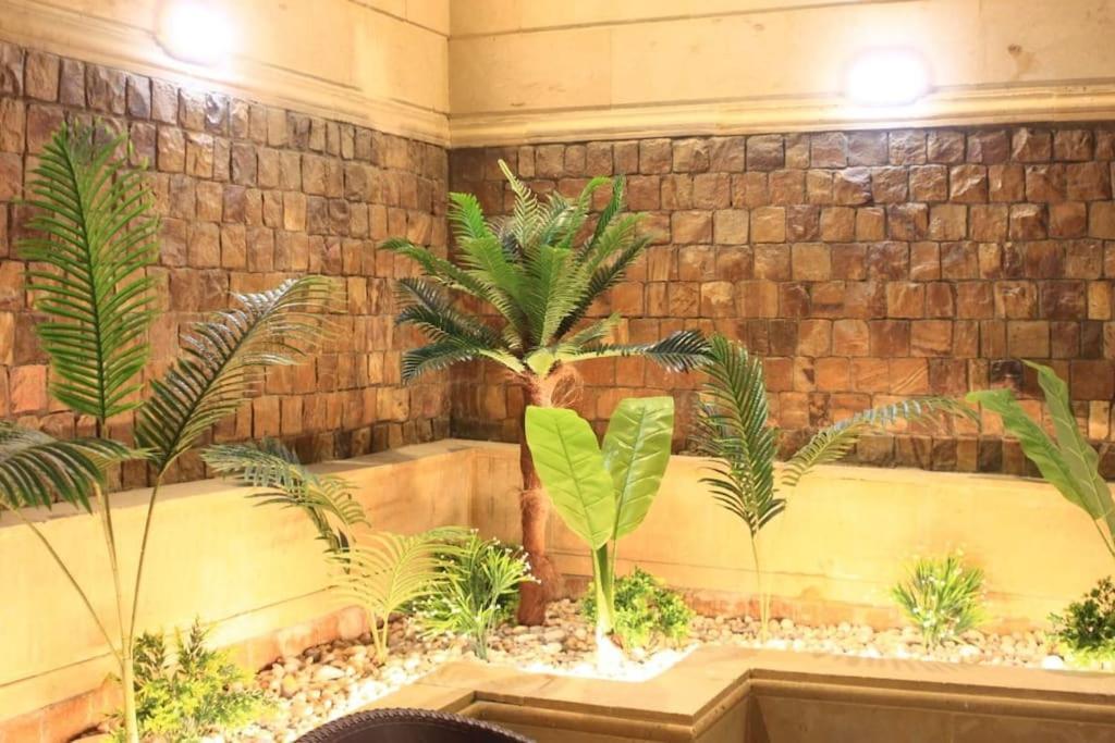 Luxry Duplex Very Prime Location Beside Festival * Cairo